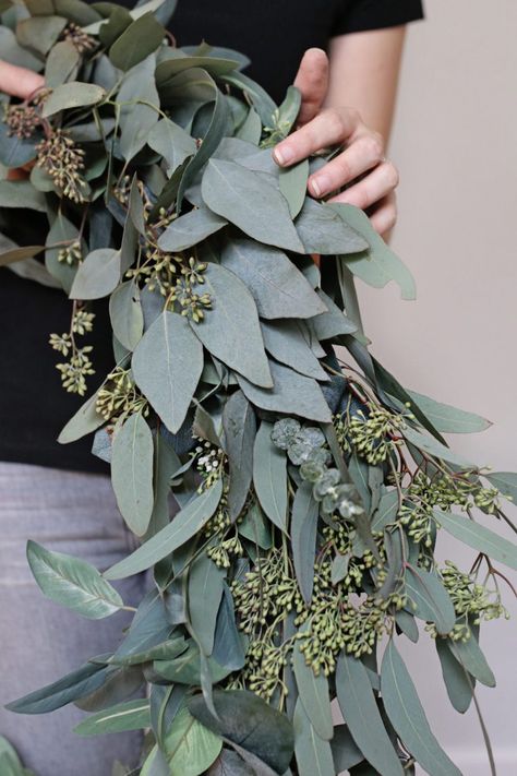 How to Make a Eucalyptus Wreath Diy Eucalyptus, Eucalyptus Centerpiece, Outside Fall Decor, Green Table Runner, Dried Wreath, Taylor Wedding, Metal Wreath Frame, Aussie Christmas, Make A Wreath