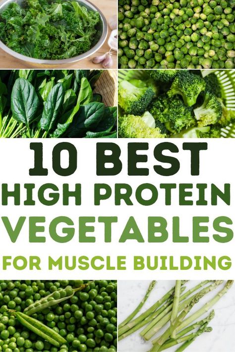 You don't need to eat meat or animal products to meet your protein goals. A lot of vegetables are really high in protein and today I will show you just which ones! Eat these high protein vegetables for bodybuilding and muscle building. High Protein Veggies List, Non Animal Protein Sources, High Protine Food List Veg, Vegetables That Have Protein, Highest Protein Vegetables, Protein That Isnt Meat, Veggie Protein Sources, Protein Non Meat, Vegan Food High In Protein