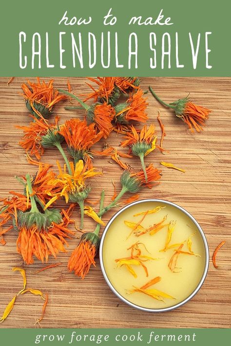 Calendula is a beautiful flower with powerful medicinal benefits. It's often used in natural remedies, salves, and creams, and is a terrific herb to have in your herbal medicine cabinet. Make the best use of its healing powers with this easy calendula salve. #herbalism #calendula Herbal Medicine Cabinet, Cooking With Turmeric, Ancient Remedies, Calendula Salve, Salve Recipes, Common Knowledge, Kitchen Herbs, Natural Healing Remedies, Diy Remedies