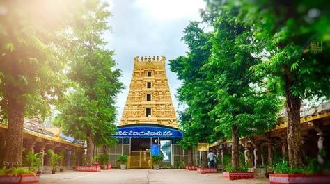 Srisailam Mallikarjuna Swamy, Mallikarjuna Swamy, God Of Destruction, भगवान शिव, Hindu Dharma, Krishna Statue, God Shiva, Madurai, Andhra Pradesh