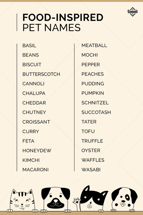 Did you just adopt a dog or cat and are wondering what to name them? Name your pet after something you love, like food! From Tofu and Feta to Mochi and Tater, check out these food-inspired pet names. #PetNames #NameIdeas Pet Names For Animals, Dog Names Food Related, Names For Hedgehogs, Touchbar Pet, Adopt Me Names For Pets, Cute Hedgehog Names, Cute Cat Names Aesthetic, Food Pet Names, Aesthetic Names For Cats