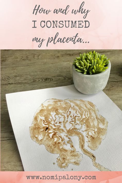 Great personal placenta story! How and why I consumed my own placenta. Placenta Recipes, Placenta Encapsulation, Family Tips, Earth Mama, Water Birth, Busy Mum, Family Ideas, Divine Mother, Baby Advice