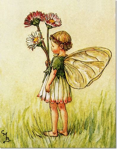 Daisy Fairy, 동화 삽화, Fairy Drawings, Illustration Tattoo, Fairy Illustration, Flowers Illustration, Fairy Pictures, Fairy Artwork, Cicely Mary Barker