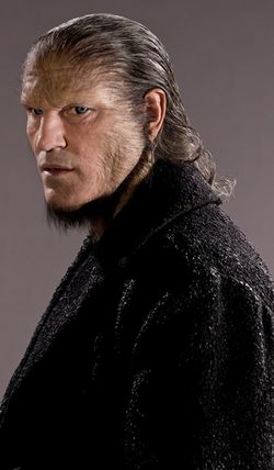 Dave Legeno, Fenrir Greyback, Harry Potter Wiki, Deathly Hallows Part 1, Ministry Of Magic, Harry Potter Images, Harry Potter Film, Albus Dumbledore, Remus Lupin