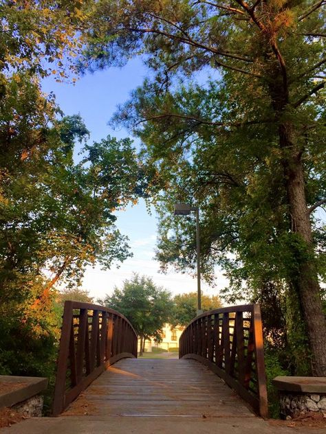 A day in the park: Hershey Park in Memorial Drive, Houston, TX. 2015. Memorial Park Houston, Houston Parks, Hershey Park, Memorial Park, Dream Engagement, Vision Boards, Professional Attire, Park City, Garden Bridge