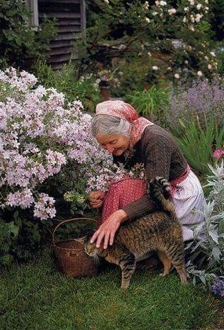 Charlie Harper, Grandma Aesthetic, Tasha Tudor, The Company You Keep, Storybook Cottage, Photographie Portrait Inspiration, 사진 촬영 포즈, Cat People, Grandmas House