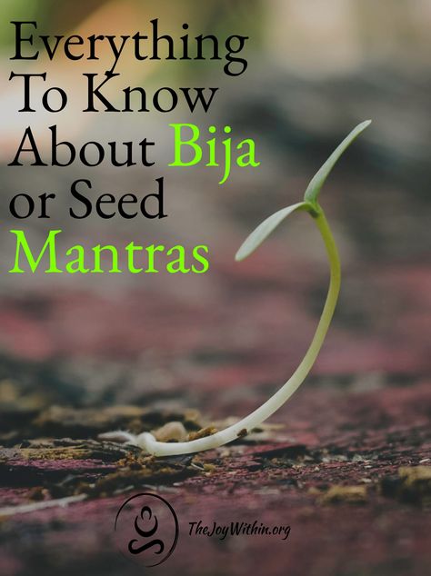 Learn how to use Bija, or Seed, Mantras to directly open, purify, nourish, and balance your chakras. Bija Mantra, What Is A Mantra, Healing Mantras, Chakra System, Seven Chakras, Life Force Energy, You're Amazing, Solar Plexus Chakra, Energy Flow