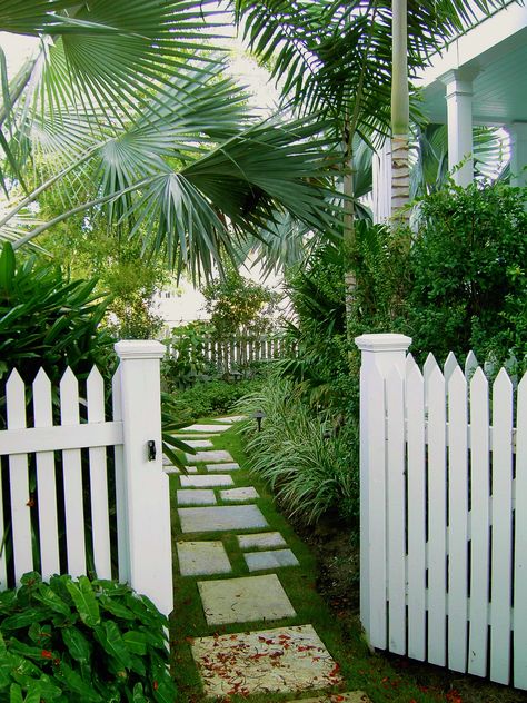 Key West Landscape Design, Carl Gilley, Tropical landscape, Garden Key West Landscape Ideas, Tropical Curb Appeal, Lowcountry Landscaping, Key West Landscaping, Coastal Landscaping Ideas, Front Walkway Landscaping, Terrace Exterior, Beach House Garden, Key West Cottage