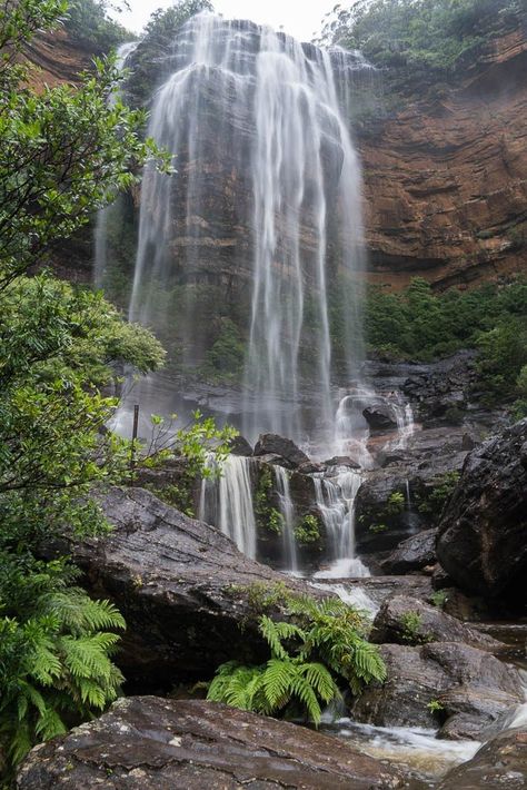 Wentworth Falls, New South Wales, Australia, is a 187m, three-tiered waterfall fed by the Jamison Creek, near the town of Wentworth Falls in the Blue Mountains region. The falls are accessible via the National Pass Walking Trail and the Overcliff-Undercliff Walk. The falls are in two drops, the Upper Wentworth Falls and Lower Wentworth Falls. Walking Trail, New South Wales Australia, The Blue Mountains, Blue Mountains, Scenery Nature, Beautiful Scenery Nature, South Wales, New South Wales, Beautiful Scenery