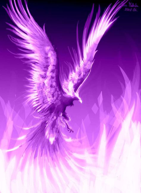 Purple Phoenix Tato Phoenix, Phoenix Bird Art, Phoenix Wallpaper, Phoenix Artwork, Phoenix Images, Mystical Animals, Purple Bird, Phoenix Art, Phoenix Bird