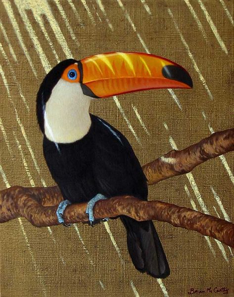 Toucan Illustration, Toucan Art, Toco Toucan, Toucan Bird, Small Canvas Paintings, Magic Realism, Tropical Art, Exotic Birds, Tropical Birds