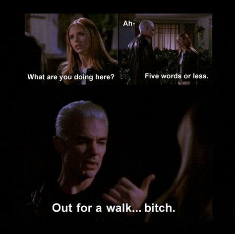 Out for a walk bitch Buffy Funny, Spike Quotes, Buffy Quotes, Spike Buffy, James Marsters, Angel Quotes, Vampire Love, Original Vampire, Torchwood