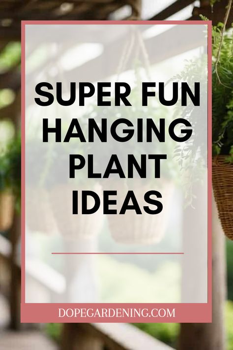 Brighten up your garden with these amazing ideas for hanging plants! From using lovely woven baskets to creating a cozy look with a wooden pergola, we've got stylish inspiration for you. Let's explore how to set up beautiful green plants that sway gently in the breeze, making your outdoor space feel magical. You'll find tips on arranging and displaying your plants that will keep visitors in awe. Don’t miss these cool ways to add life to your garden and share your fun hanging plant moments with friends! Porch With Hanging Plants, Rustic Hanging Planters Outdoor, Outdoor Plant Hanging Ideas, Creative Ways To Hang Plants, Plant Hanging Ideas Diy, Ideas For Hanging Plants, Plant Hanging Ideas, Plant Hanger Ideas, Hanging Planter Ideas