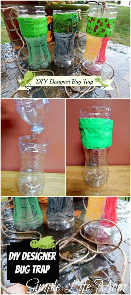 Yes, DIY Designer Bug Trap. A beautifully designed bug catcher to eliminate flies, mosquitoes, moths, stink bugs, or beetles from your yard and house. Stink Bug Repellent, Traditional Homemaking, Spider Killer, Bug Catcher, Stink Bug, Bug Trap, Homestead Blog, Mini Beasts, Steam Ideas