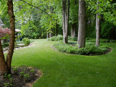 Wooded Backyard Landscape, Acreage Landscaping, Woods Landscape, Forest Gardens, Wooded Landscape, Large Backyard Landscaping, Wooded Landscaping, Backyard Landscape, Forest Garden