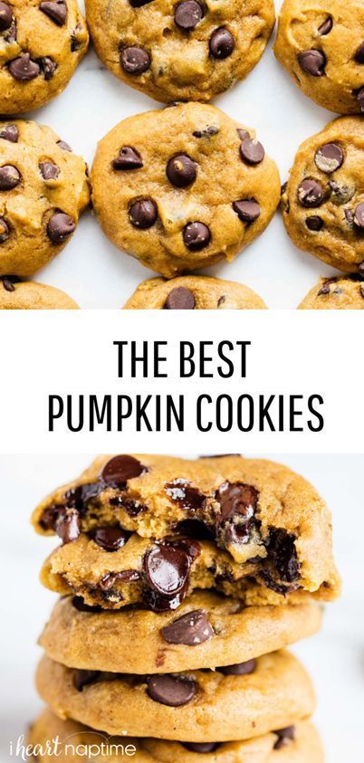 These are the absolute BEST Pumpkin Chocolate Chip Cookies! This is one of my most requested recipes and gets rave reviews! #pumpkin #pumpkinrecipes #fall #fallrecipes #cookies #chocolatechip #chocolatechipcookies #baking #recipe #iheartnaptime Planet Chocolate, Best Pumpkin Chocolate Chip Cookies, Fall Cookie Recipes, Chef Boyardee, Cookies Soft, Fresh Pumpkin, Pumpkin Chocolate Chip, Pumpkin Chocolate Chip Cookies, Fun Deserts