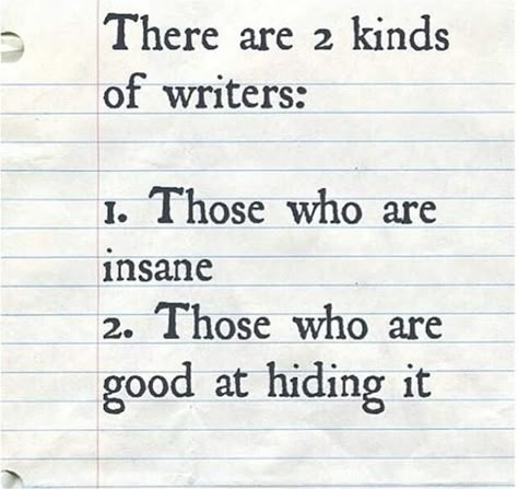 Two Kinds Of Writers - Writers Write Writer Memes, Writer Aesthetic, Writer Humor, Being A Writer, Writing Humor, I'm A Writer, Writing Memes, I Am A Writer, Writing Motivation