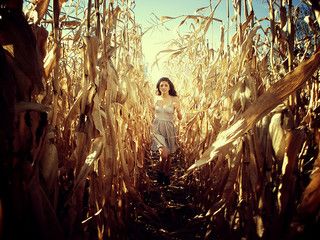 comeing Cornfield Photoshoot, Pumpkin Patch Photoshoot, Corn Field, Picture Prompts, Wild Girl, Fall Photo, Fun Photos, Indian Photography, Fall Photoshoot