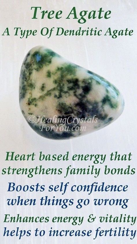 Tree agate, a type of dendritic agate - heart based energy that strengthens family bonds, boots self confidence when things go wrong, enhances energy and vitality, helps increase fertility #crystalhealing #gemstonehealing #selftransformation #personaldevelopment Tree Agate Crystal, Increase Fertility, Crystal Healing Chart, Healing Crystals For You, Heal Yourself, Magic Stones, Crystals Healing Properties, Tree Agate, Spiritual Crystals