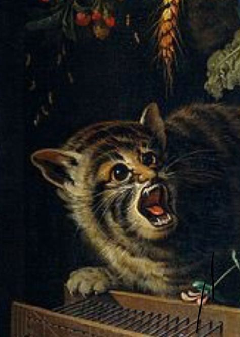 41 Strange on Twitter: "Cats in Renaissance paintings… " Abraham Mignon, Medieval Cats, Funny Medieval, Medieval Drawings, Medieval Artwork, Evil Cat, Ugly Cat, Medieval Paintings, Funny Paintings