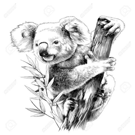 Realistic Pencil Drawings Of Animals, Koala Tattoo Ideas, Eucalyptus Koala, Koala Tattoo, Koala Drawing, Koala Art, Monochrome Drawing, Monochrome Illustration, Pencil Drawings Of Animals