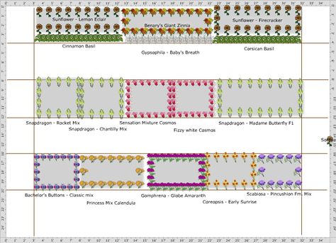 Garden Plan - Back 4ft beds Flower Farm Plan, Cut Flower Garden Plans Layout, Flower Farm Layout Ideas, Small Flower Farm Layout, Cut Flower Farm Layout, You Pick Flower Farm Layout, Rectangle Flower Bed, Pisces Manifestation, Backyard Cut Flower Garden