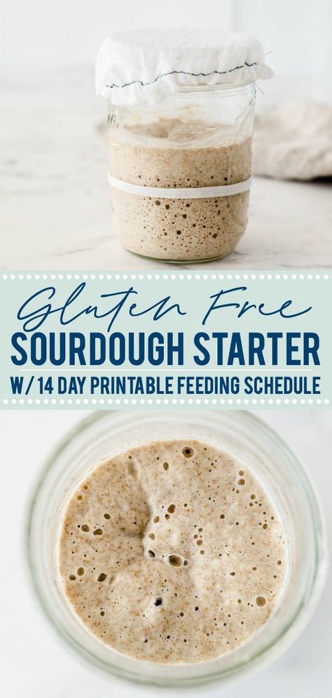 Aip Bread, Cooking Knowledge, Gf Ideas, Make A Sourdough Starter, Gluten Free Sourdough Starter, Gluten Free Sourdough Bread, Paleo Breads, Country Food, Printable Schedule