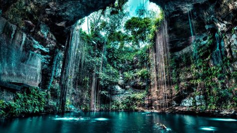 #mexico cenote ik kil yucatan peninsula #maya chichen itza #cenotes #waterfall #cave #lake #rocky #ancient #yucatan #1080P #wallpaper #hdwallpaper #desktop Cave Pool, Nature Desktop, Travel Noire, Desktop Background Pictures, Halloween Background, Hd Nature Wallpapers, America Latina, Yucatan Mexico, Yucatan Peninsula