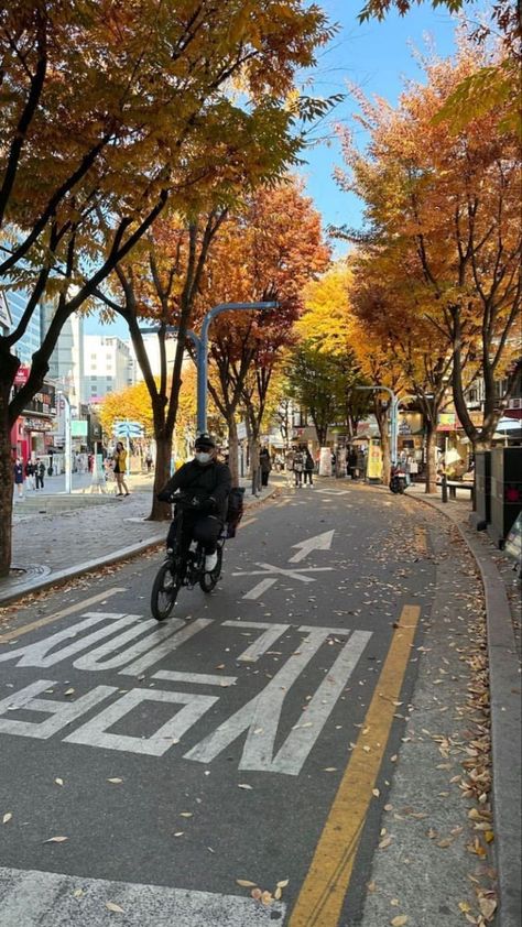 Fall In South Korea, Fall Korean Aesthetic, Korea Street Photography, Autumn Korean Aesthetic, Korean Trip Aesthetic, Korean Fall Aesthetic, Live In Korea Aesthetic, Seoul Fall Aesthetic, Living In Seoul Aesthetic