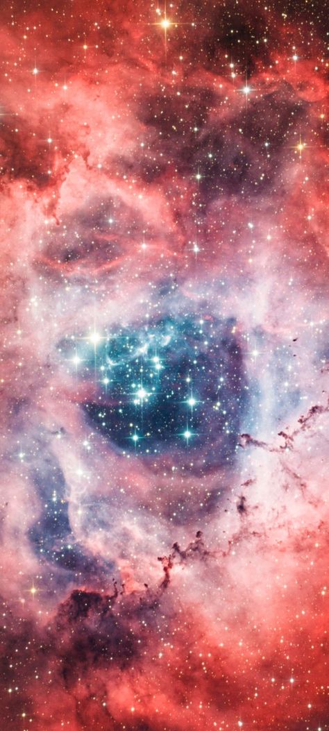 Rosette Nebula, Galaxy Images, Inspiring Spaces, Human Brain, Deep Space, Moon Child, Out Of This World, Space Art, Outer Space