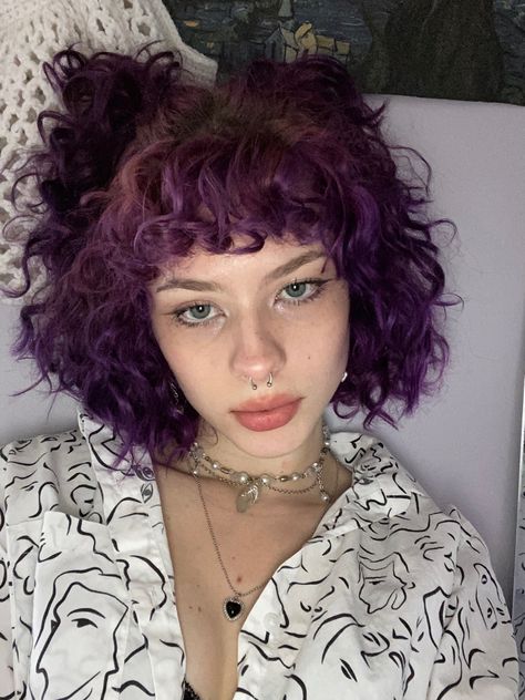 Purple Underdye Hair Curly, Purple And Black Curly Hair, Dark Purple Curly Hair, Purple Underdye Hair, Underdye Hair Curly, Curly Hair Hairstyles Short, Punk Curly Hair, Short Alt Hairstyles, Short Lavender Hair