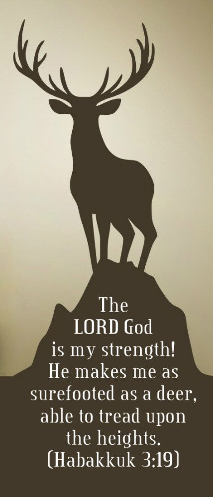 Habakkuk 3:19, Habakkuk 3 19, Lord God, Oh Deer, God Prayer, Favorite Bible Verses, Love The Lord, God Loves Me, Books Of The Bible