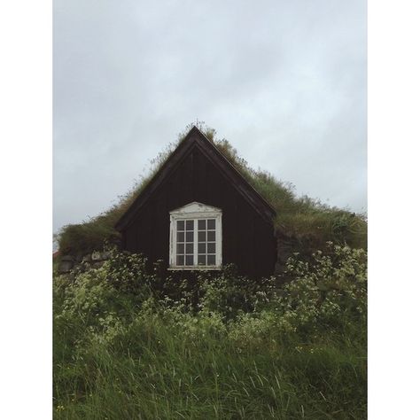 Tumblr ❤ liked on Polyvore featuring pictures Iceland House, Casa Exterior, Cabins And Cottages, Humble Abode, Green Roof, Cabins In The Woods, The Roof, Little Houses, Little House