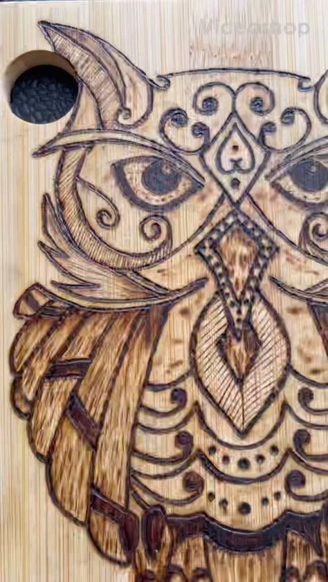 Pyrography Owl, Owl Wood Burning, Beginner Wood Burning, Knock On Wood, Pyrography Patterns, Owl Images, Whimsical Owl, Pyrography Art, Woodburning Projects