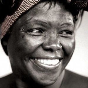 Wangari Maathai, African Royalty, Nobel Peace Prize, Botanical Beauty, Short Bridesmaid Dresses, Portrait Poses, Women In History, African Women, Black Aesthetic