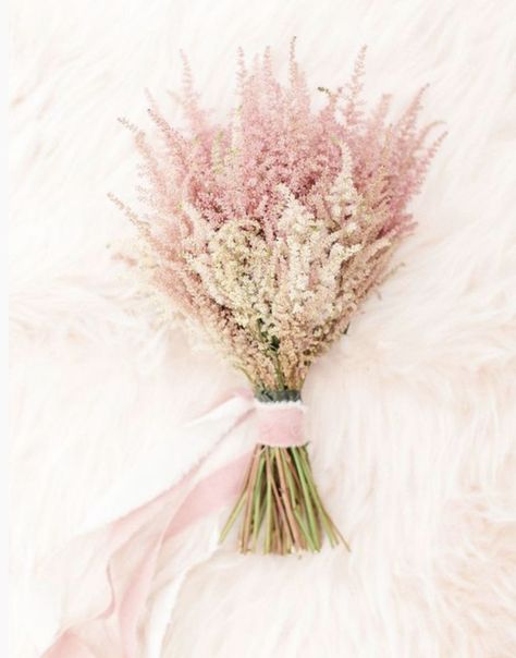 Astilbe Wedding, Astilbe Bouquet, Story Filters, Pink Monochrome, Bridal Party Groomsmen, Wedding Flower Guide, Wedding Bouquets Pink, Everlasting Flowers, Flower Guide