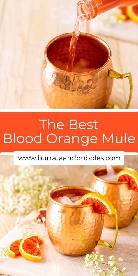 Fun Moscow Mule Recipes, Types Of Mules Drinks, Holiday Moscow Mule Pitcher, Ginger Mule Cocktail, Fall Mules Cocktail, Drinks With Orange Bitters, Blood Orange Ginger Beer Cocktail, Halloween Moscow Mule, Orange Liquor Drinks