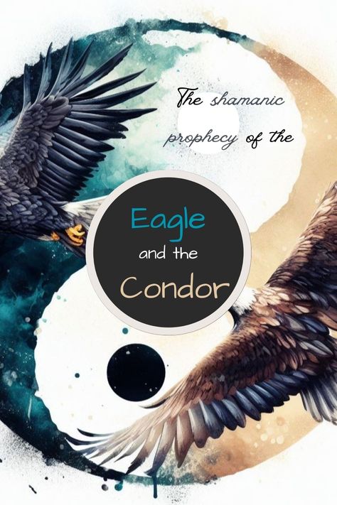 Dive into the timeless tale of the Eagle and the Condor and discover why this ancient prophecy resonates more powerfully in our modern world than ever before! #shaman #shamanic #prophecy #spirituality #eagle #condor #indigenous #spiritualwisdom #society #civilization Native American Stories, The Prophecy, Spiritual Transformation, Spiritual Tools, The Eagle, Spiritual Path, Spiritual Wisdom, Spiritual Journey, Spiritual Growth