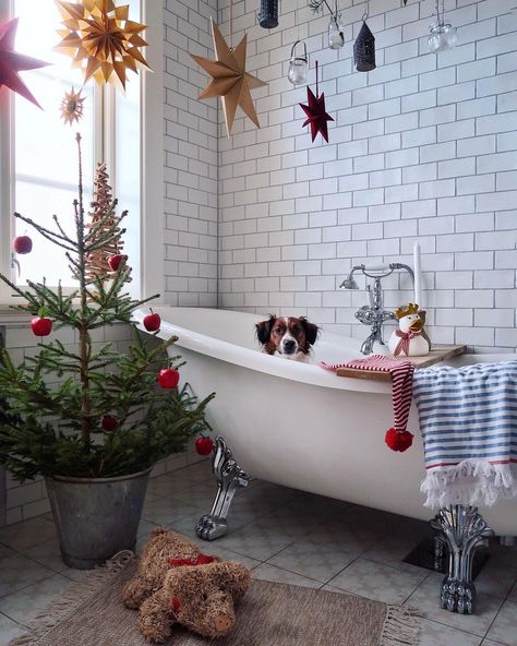 interior Xmas mood Home Themes, Charli D'amelio Aesthetic, Christmas Vibes, My Year, Christmas Home Decor, Clawfoot Bathtub, Yule, Christmas Magic, Christmas Home