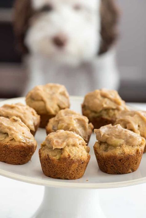 Peanut Butter Pupcakes {Whatever Friday} - Crazy for Crust Pet Desserts, Doggie Desserts, Cupcakes For Dogs, Dog Baking, Peanut Butter Frosting Recipe, Pet Recipes, Dog Cake Recipes, Oreo Treats, Animal Treats