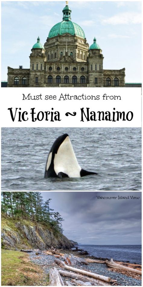 Are you looking to explore Vancouver Island? Here is an extensive road trip from Victoria to Nanaimo showcasing all the must see attractions along the way. Nanaimo Vancouver Island, Vancouver Island Victoria, Long Beach Tofino British Columbia, Travel Vancouver Island, Victoria Vancouver Island, British Columbia Travel, Victoria Island, Wreck Beach Vancouver, Western Canada