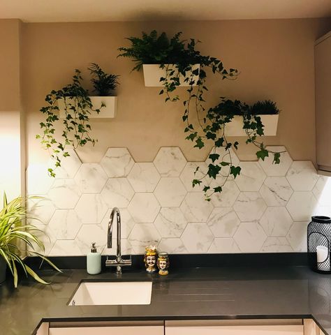 Hexagon Wall Tiles Kitchen, Hexagonal Kitchen Tiles, Kitchen Tiles Hexagon, Hexagon Tiles Kitchen, Kitchen Wall Tiles Ideas, Hexagon Tile Wall, Hexagon Kitchen, Tiles In Kitchen, Hexagon Tile Kitchen