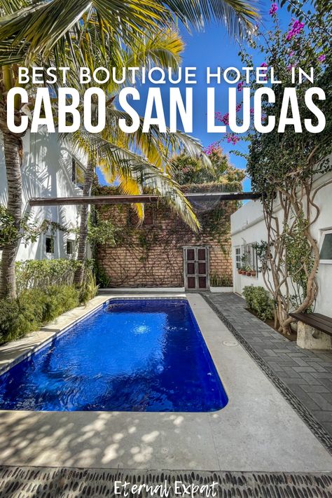 Wondering where to stay in Cabo San Lucas? Want a great boutique hotel in Cabo that doesn't break the bank? Check out Los Milagros Hotel! Cabo San Lucas Hotels, Cabo Mexico, Bank Check, Best Boutique Hotels, Small Hotel, San Lucas, Cabo San Lucas, Mexico Travel, The Bank