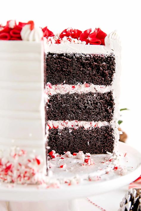 Peppermint Frosting, Chocolate Peppermint Cake, Mint Chocolate Cake, Peppermint Cake, Nursing Cake, Mint Cake, Peppermint Hot Chocolate, Torte Cupcake, Cake Layers