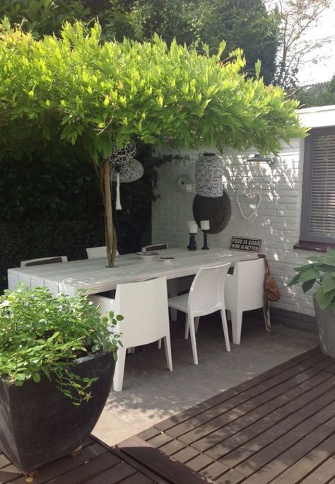 natural-tree-like-umrella Balcony Canopy, Terraced Garden, Green Backyard, Have Inspiration, Outdoor Inspirations, Patio Umbrellas, Outdoor Umbrella, Back Garden, Small Gardens