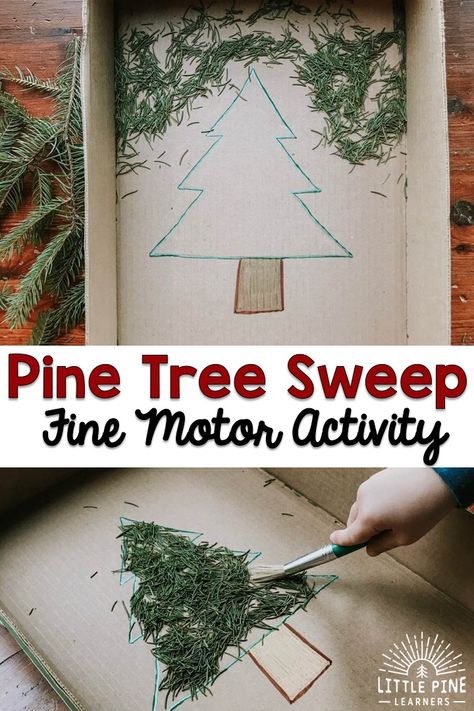 Pine Needle Sweep {A Fine Motor Activity} • Little Pine Learners Fine Motor Christmas, Prewriting Skills, Preschool Christmas Activities, December Activities, Fine Motor Activity, Preschool Fine Motor, Sensory Activity, Christmas Activity, Winter Preschool