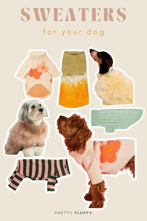 various images of dogs wearing cute dog sweaters in different styles and colors with heading "sweaters for your dog" Dog Brands, Dog Trends, Living With Dogs, Dog Branding, Pet Sweater, Dog Shop, Sweater Trends, Dog Sweatshirt, Dog Sweaters