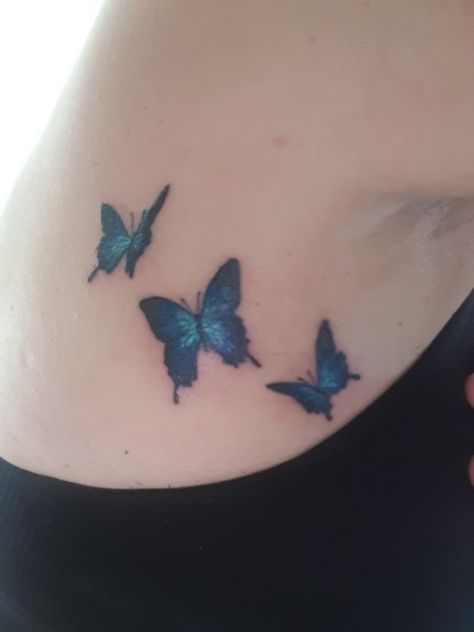 My gorgeous Ulysses Butterflies Ulysses Butterfly Tattoo, Ulysses Butterfly, Tattoo Inspo, Awesome Stuff, Butterfly Tattoo, Leaf Tattoos, Maple Leaf Tattoo, Watercolor Tattoo, Butterflies