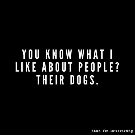 The More I Learn About People Dogs, I Like Dogs More Than People, Certified Public Accountant, I Like Dogs, About People, I Love Dogs, The Dog, Yorkie, Like You