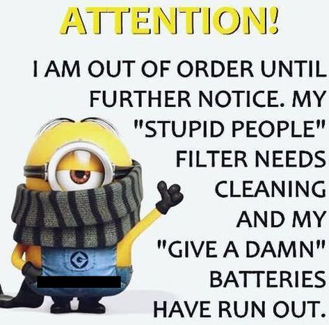 Minion Humor, Minion Humour, Billy B, Funny Minion Memes, Short Friendship Quotes, Now Quotes, Minion Pictures, Minion Jokes, Minions Love